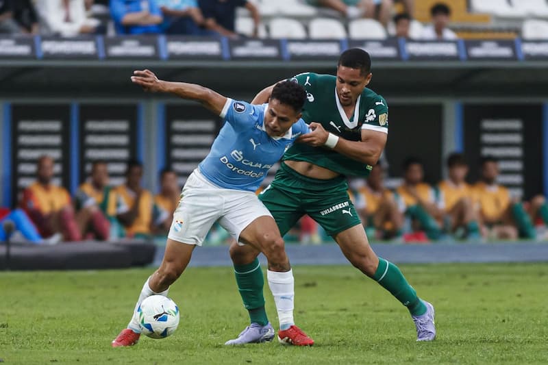 Palmeiras vs Sporting Cristal Statistik Performa dan Head-to-Head