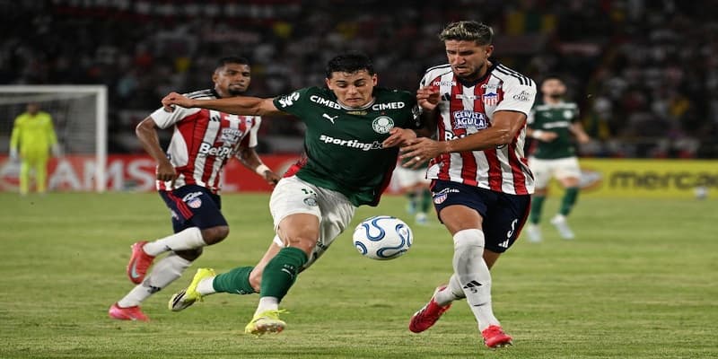 Analisis Pasaran Bola, Prediksi Skor Palmeiras vs Junior